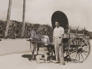 D. Ricardo Císcar, 1946