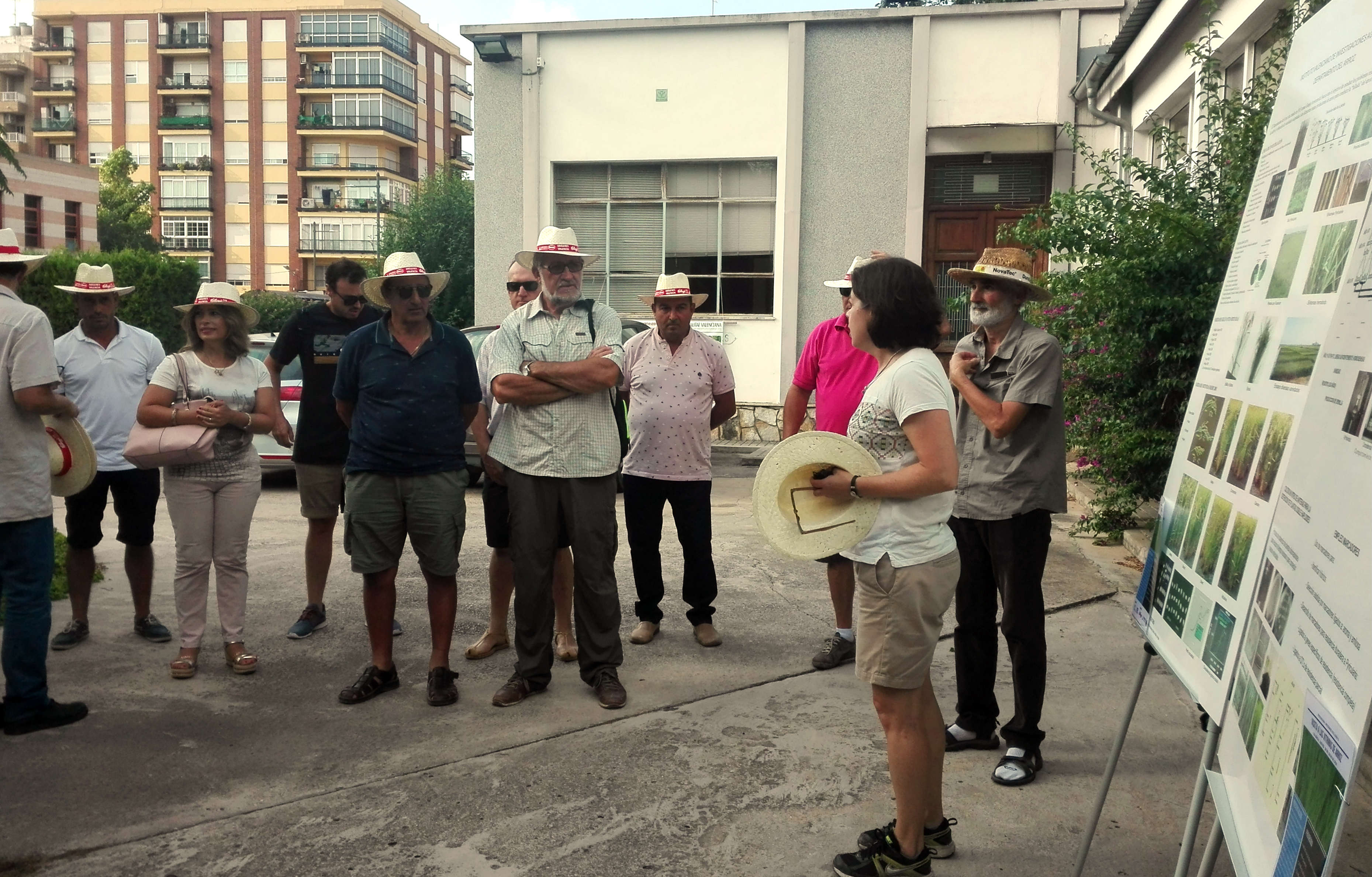 dacsa group kellogs origenes