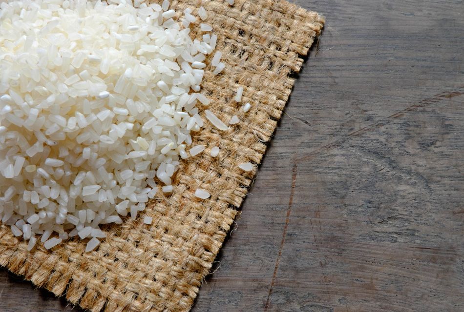 Milling rice to obtain flours and broken rice
